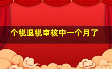 个税退税审核中一个月了