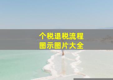 个税退税流程图示图片大全