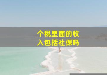 个税里面的收入包括社保吗