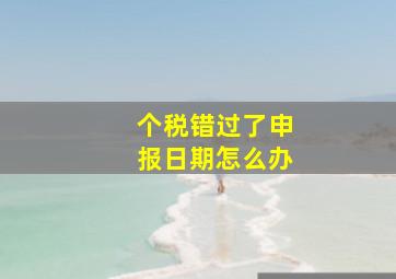 个税错过了申报日期怎么办