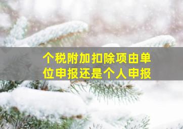 个税附加扣除项由单位申报还是个人申报