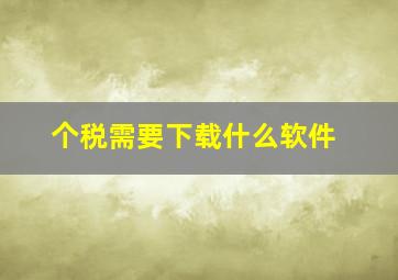 个税需要下载什么软件