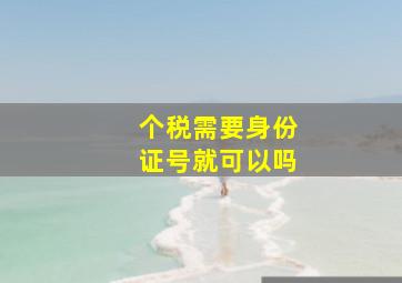 个税需要身份证号就可以吗