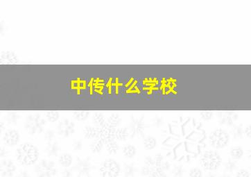 中传什么学校