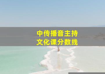 中传播音主持文化课分数线