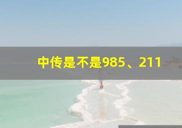 中传是不是985、211