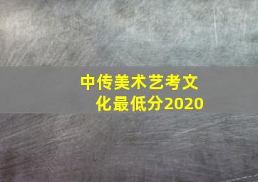 中传美术艺考文化最低分2020