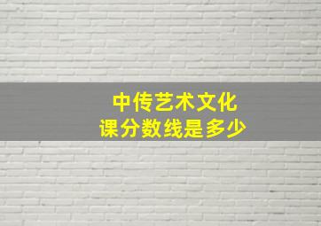 中传艺术文化课分数线是多少