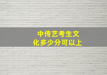 中传艺考生文化多少分可以上