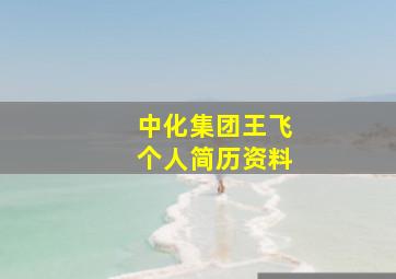 中化集团王飞个人简历资料