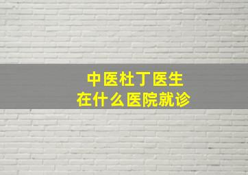 中医杜丁医生在什么医院就诊