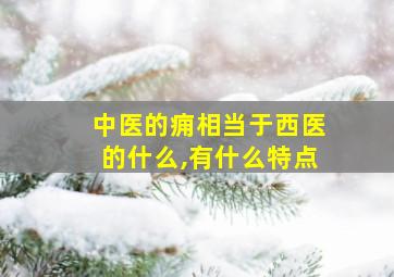 中医的痈相当于西医的什么,有什么特点