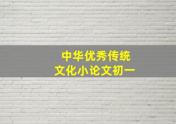 中华优秀传统文化小论文初一