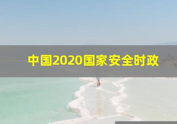 中国2020国家安全时政