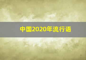 中国2020年流行语