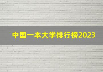 中国一本大学排行榜2023