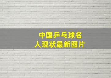 中国乒乓球名人现状最新图片