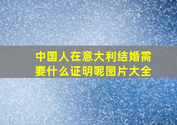 中国人在意大利结婚需要什么证明呢图片大全