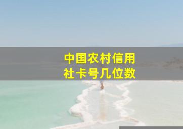 中国农村信用社卡号几位数