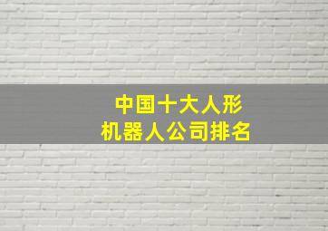 中国十大人形机器人公司排名