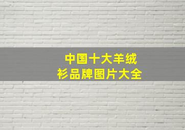 中国十大羊绒衫品牌图片大全