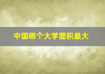 中国哪个大学面积最大