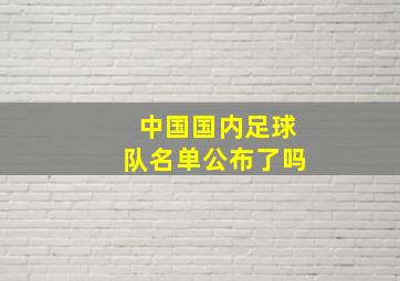 中国国内足球队名单公布了吗