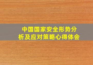 中国国家安全形势分析及应对策略心得体会