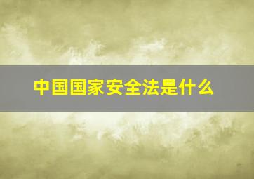 中国国家安全法是什么