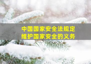 中国国家安全法规定维护国家安全的义务