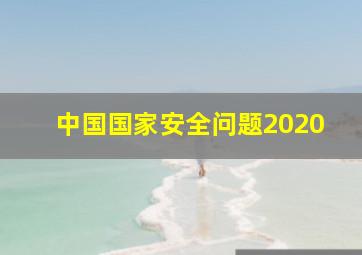 中国国家安全问题2020