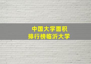 中国大学面积排行榜临沂大学