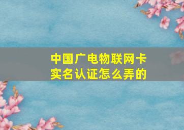 中国广电物联网卡实名认证怎么弄的