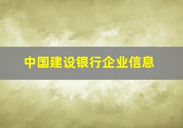 中国建设银行企业信息