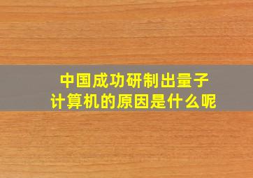 中国成功研制出量子计算机的原因是什么呢