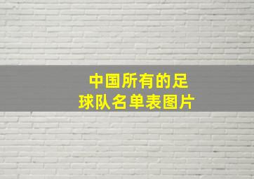 中国所有的足球队名单表图片