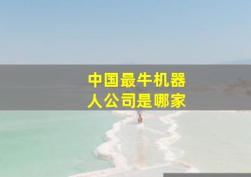 中国最牛机器人公司是哪家