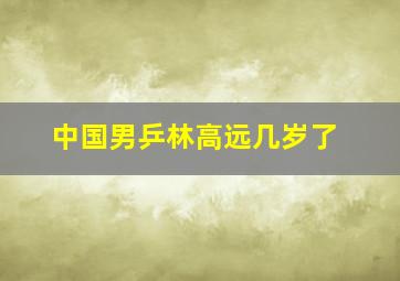 中国男乒林高远几岁了