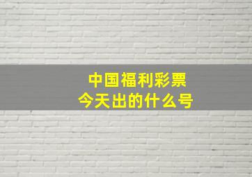 中国福利彩票今天出的什么号