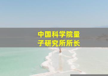 中国科学院量子研究所所长