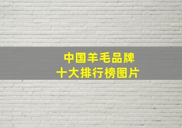 中国羊毛品牌十大排行榜图片