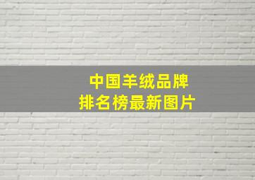 中国羊绒品牌排名榜最新图片