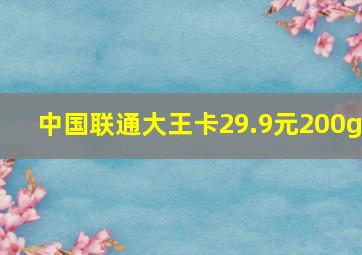 中国联通大王卡29.9元200g