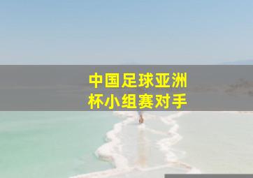 中国足球亚洲杯小组赛对手