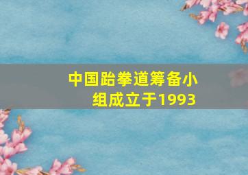 中国跆拳道筹备小组成立于1993