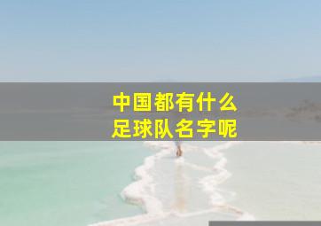 中国都有什么足球队名字呢