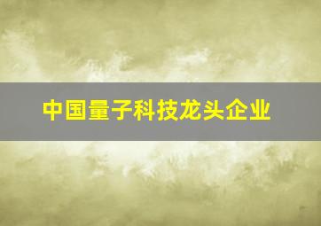 中国量子科技龙头企业