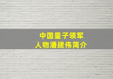 中国量子领军人物潘建伟简介