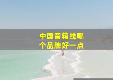 中国音箱线哪个品牌好一点