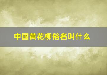 中国黄花柳俗名叫什么